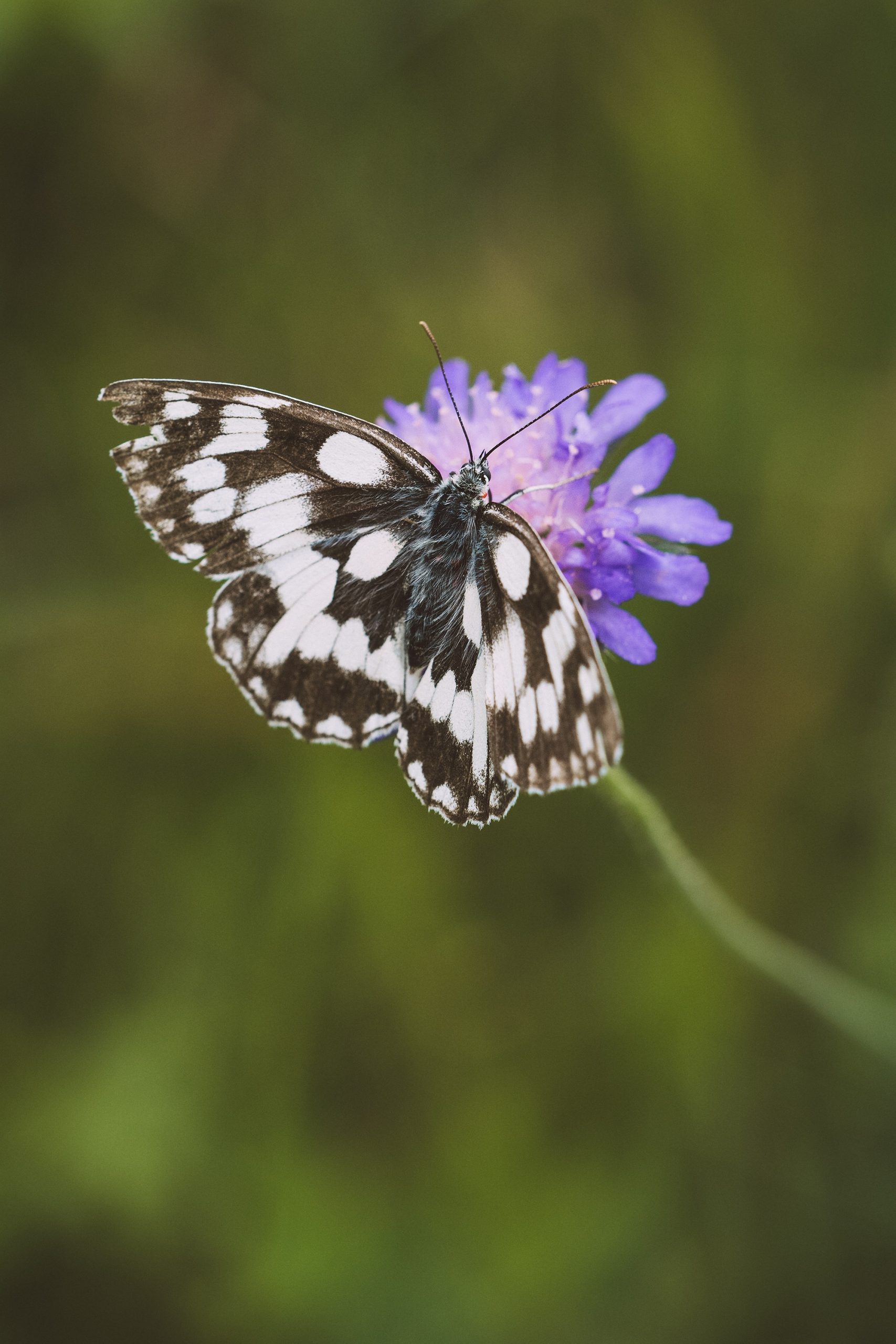 Wochenende in der Natur, stressfrei entspannt 